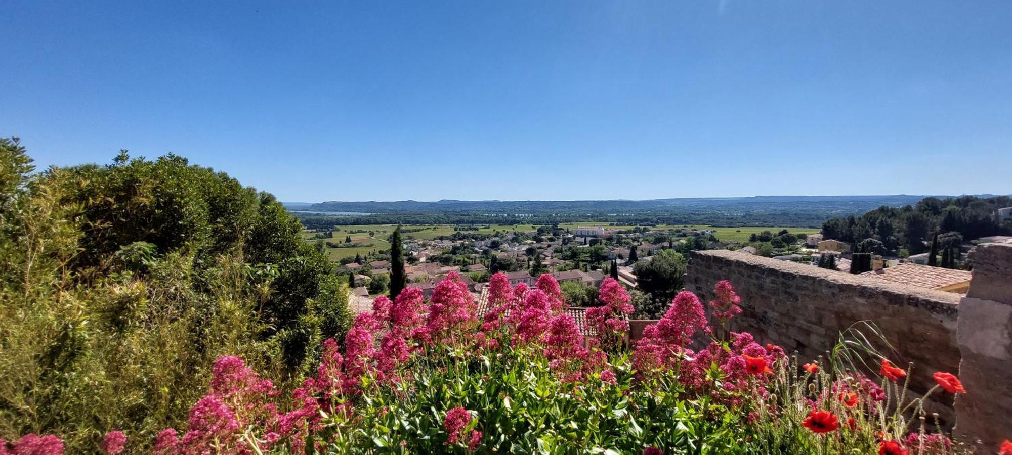 Gite De L'Olivier, Classe, Climatise, Jardin Avec Parking Gratuit Devant Le Logement Et A 5 Minutes Du Centre-Ville A Pied LʼIsle-sur-la-Sorgue Dış mekan fotoğraf